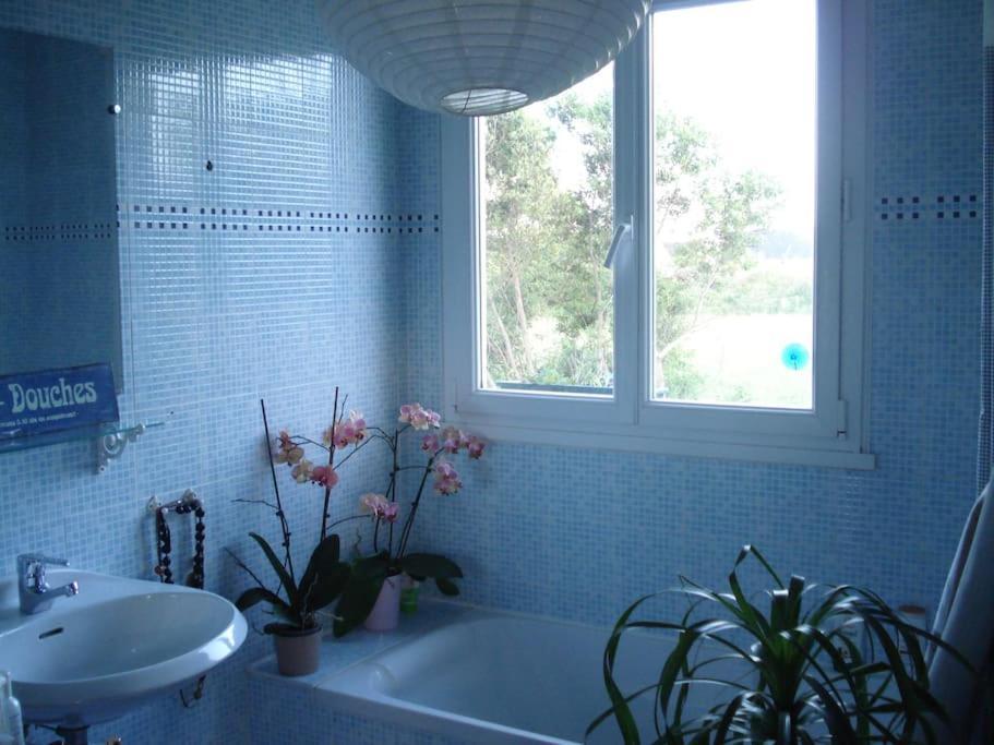 Logement Avec Jardin De Bord Mer Port Navalo Арзон Екстер'єр фото